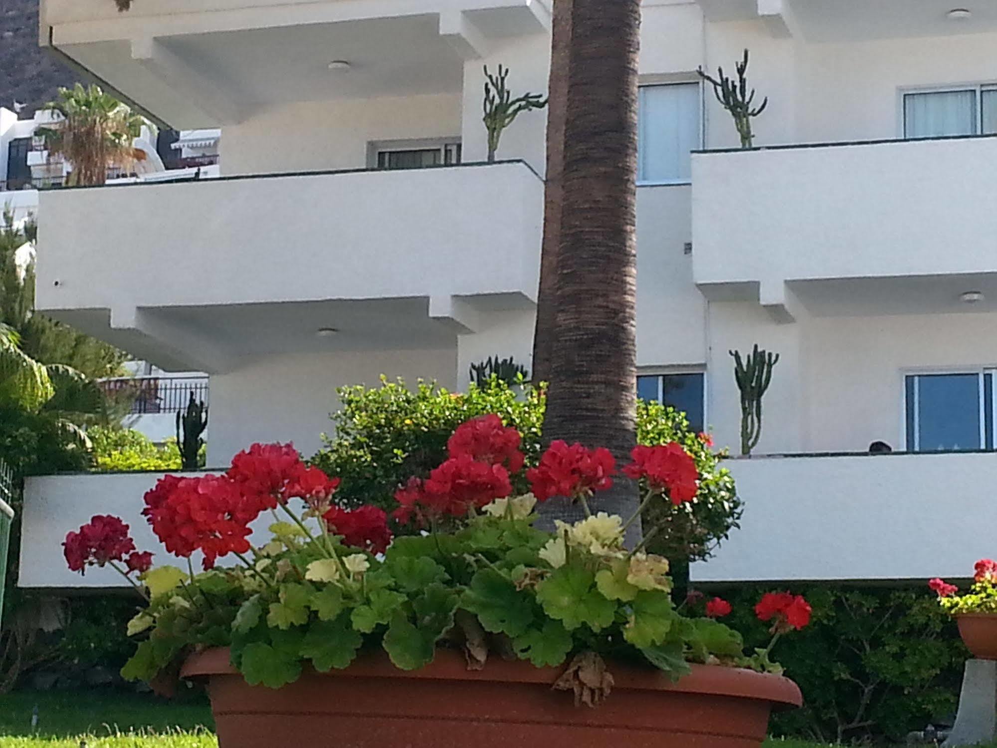 Apartamentos El Sombrero 아칸티라도 외부 사진